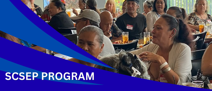 Senior Citizens Programs